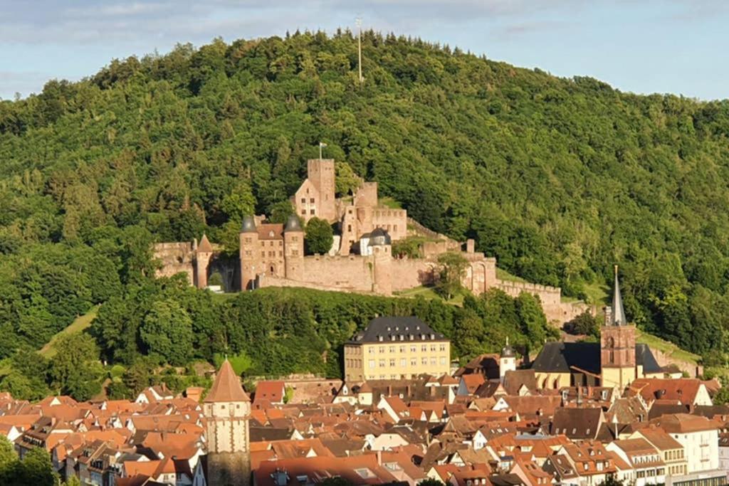 Ferienwohnung 'Burgblick' Wertheim Exteriér fotografie